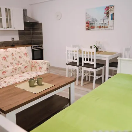 Flower Apartment Jachymov Exterior photo
